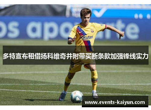 多特宣布租借扬科维奇并附带买断条款加强锋线实力 多特宣布租借扬科维奇并附带买断条款加强锋线实力